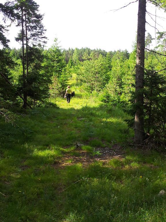 Maenniste Holiday Home Hiievalja Pokoj fotografie