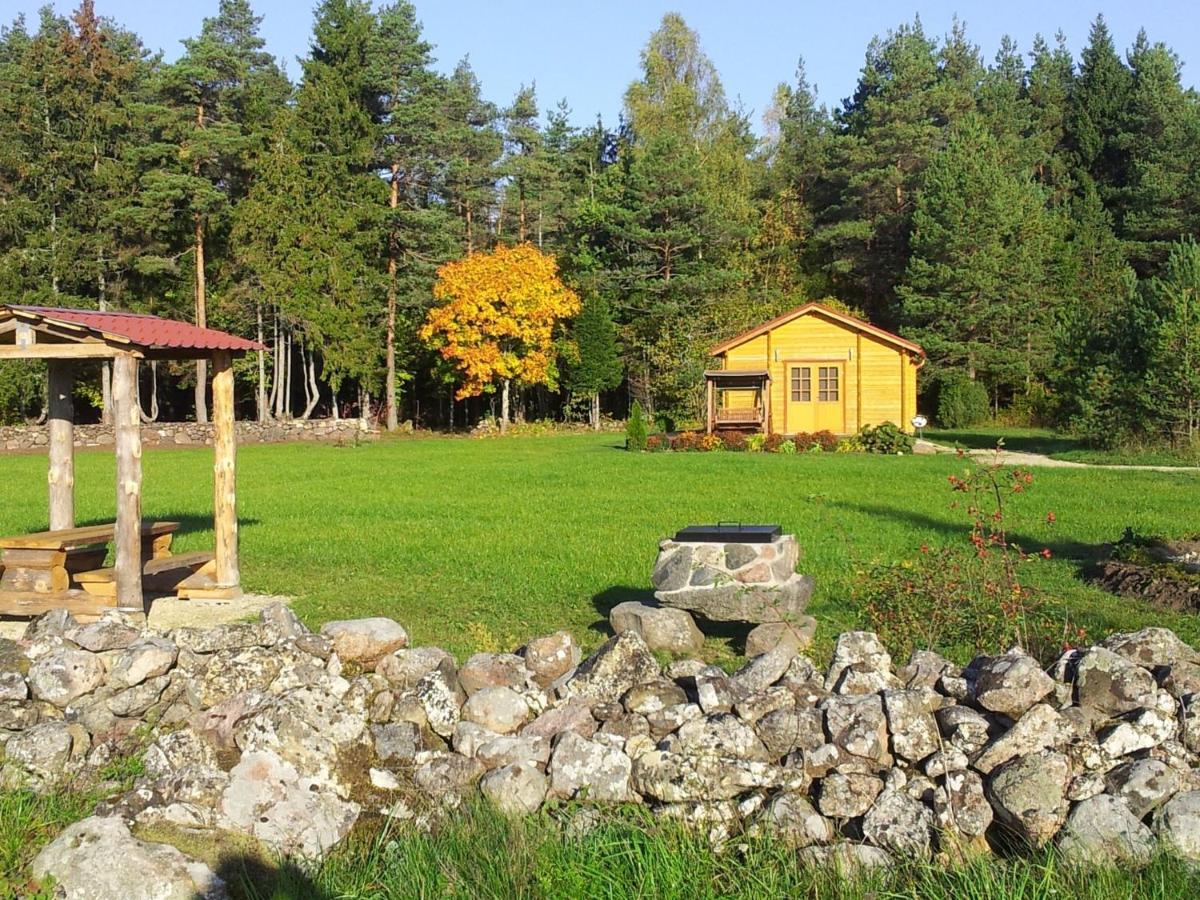 Maenniste Holiday Home Hiievalja Pokoj fotografie